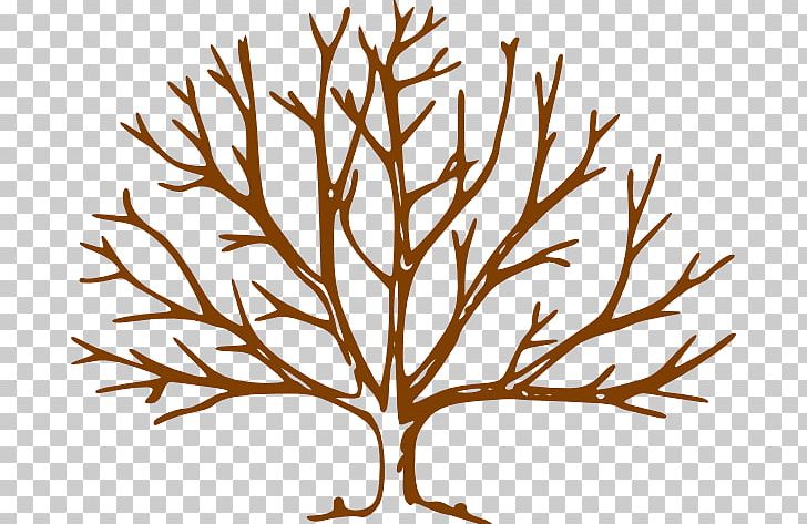 Tree PNG, Clipart, Blog, Branch, Drawing, Flower, Flowering Plant Free PNG Download