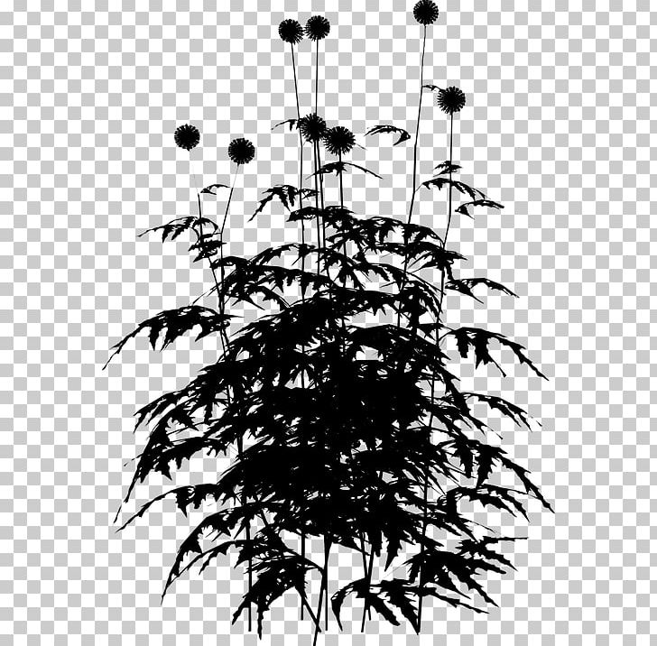 Black And White Twig Flower PNG, Clipart, Black, Black And White, Branch, Cut Flowers, Flora Free PNG Download