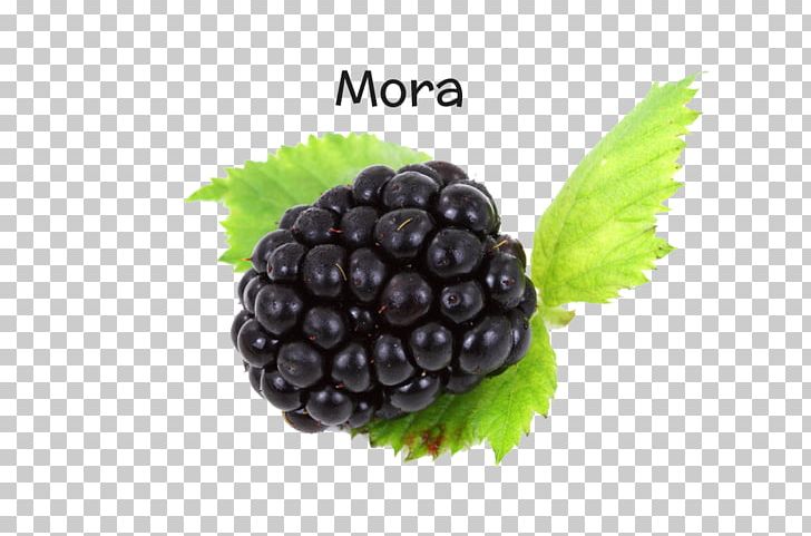 Blackberry Fruit Amora Resolution PNG, Clipart, Amora, Berry, Blackberry, Bogurtlen, Boysenberry Free PNG Download