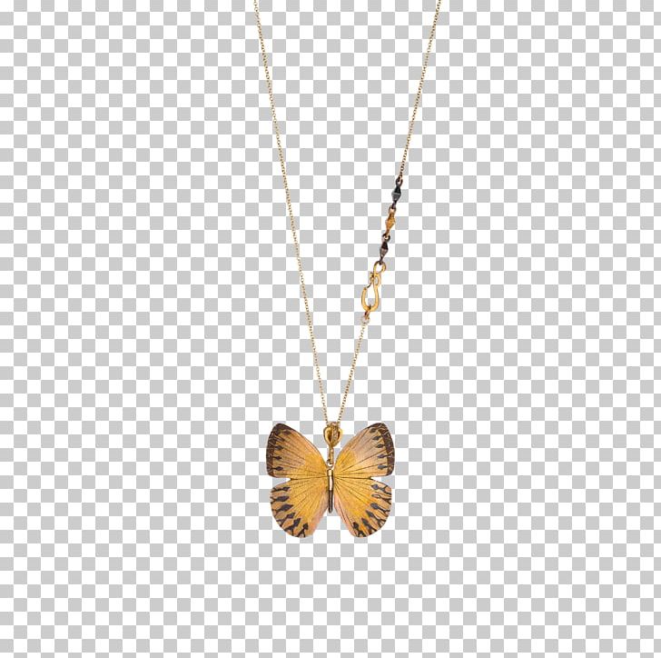Locket Necklace Moth Amber PNG, Clipart, Amber, Birdwing, Butterfly, Fashion, Fashion Accessory Free PNG Download