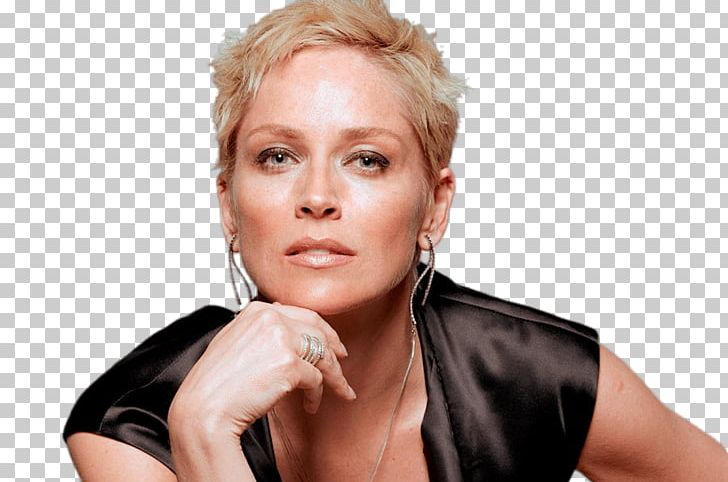 Sharon Stone Basic Instinct Actor Film PNG, Clipart, Actor, Alpha Dog, Basic Instinct, Beauty, Catwoman Free PNG Download