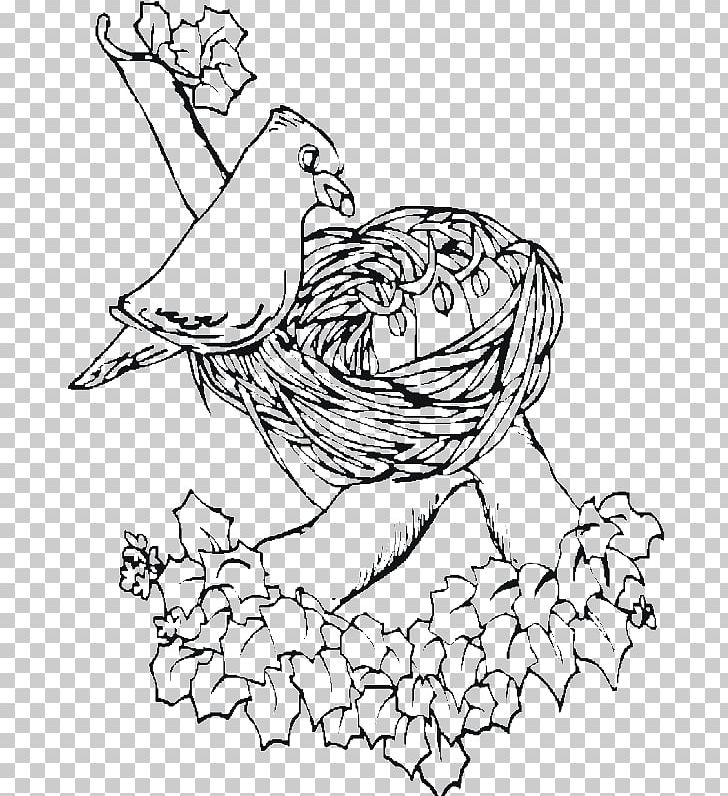 Bird Nest Sparrow Owl Coloring Book PNG, Clipart, Adult, Animal, Animals, Arm, Art Free PNG Download