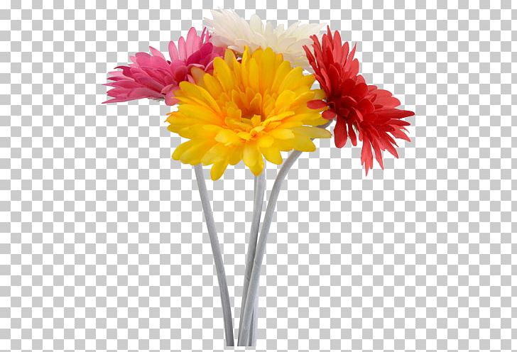 Transvaal Daisy Floristry Cut Flowers Chrysanthemum PNG, Clipart, Artificial Flower, Chrysanthemum, Chrysanths, Cut Flowers, Daisy Family Free PNG Download