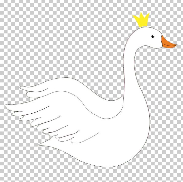 Duck Goose Chicken Cygnini Feather PNG, Clipart, Animals, Beak, Bird, Black And White, Chicken Free PNG Download