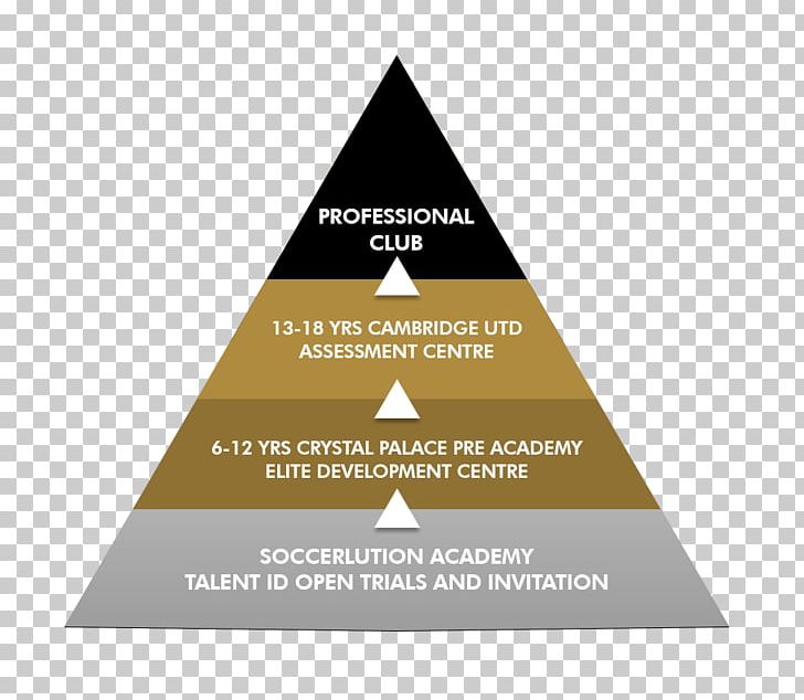 Football Player Pyramid Organization Youth System PNG, Clipart, Academy