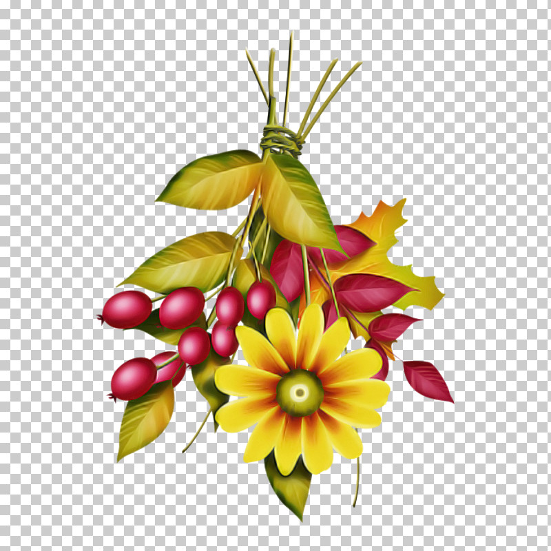 Flower Bouquet PNG, Clipart, Color, Croquis, Drawing, Flower, Flower Bouquet Free PNG Download