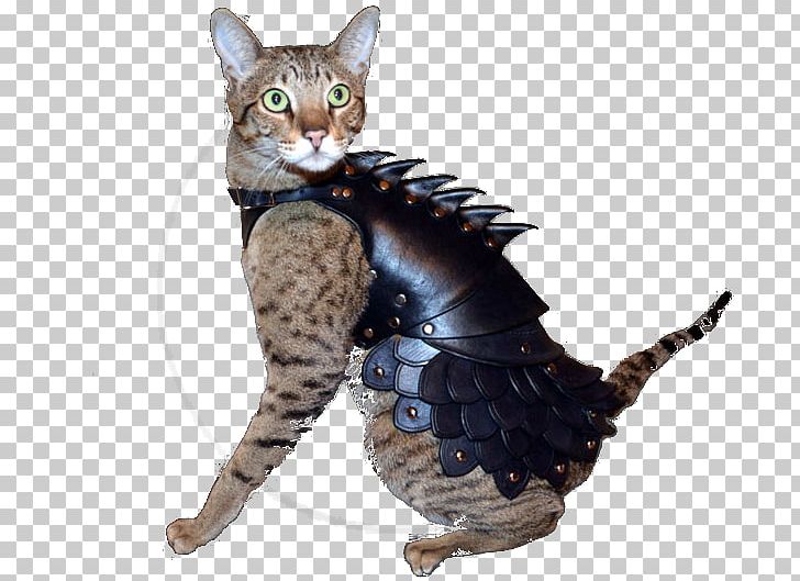 Cat Plate Armour Body Armor Felidae PNG, Clipart, Animals, Armour, Body Armor, Carnivoran, Cat Free PNG Download