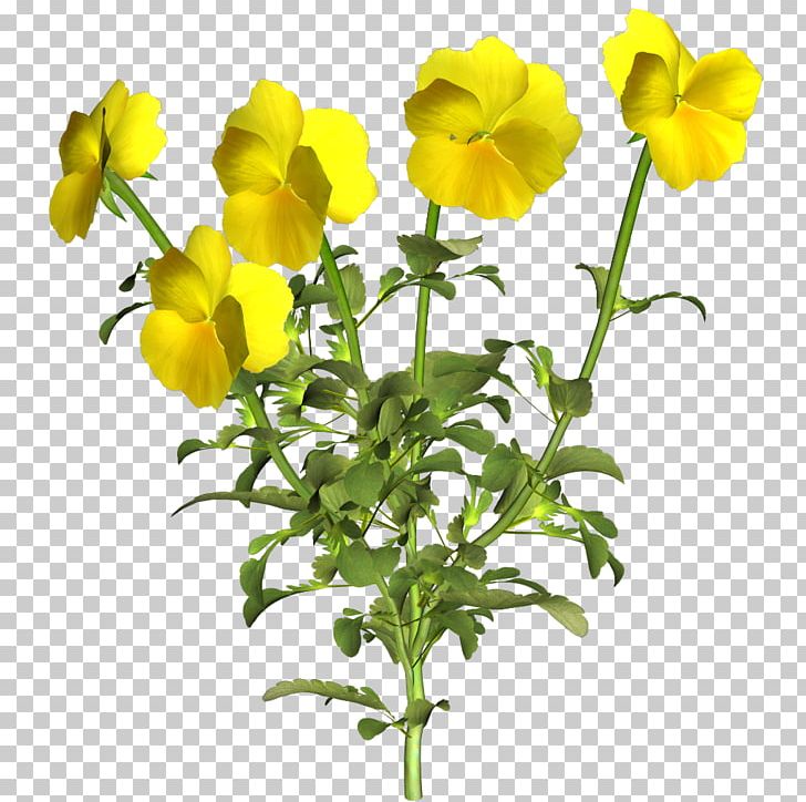 Pansy Flower PNG, Clipart, Common Sunflower, Cut Flowers, Edible Flower, Flower, Flowering Plant Free PNG Download