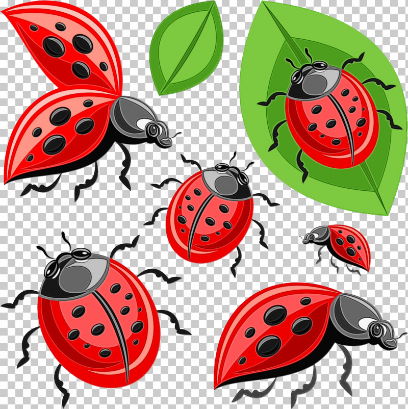 Beetles Leaf Orange S.a. Science PNG, Clipart, Beetles, Biology, Leaf, Orange Sa, Paint Free PNG Download