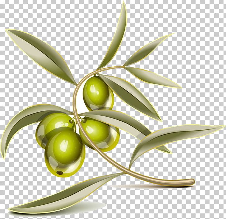 Mediterranean Cuisine PNG, Clipart, Autumn Leaf, Branch, Branches And Leaves, Cartoon, Computer Icons Free PNG Download