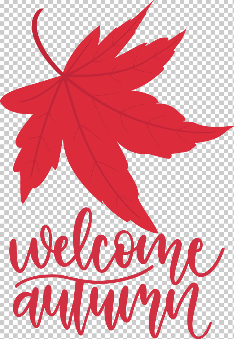 Welcome Autumn Autumn PNG, Clipart, Autumn, Biology, Flower, Leaf, Line Free PNG Download