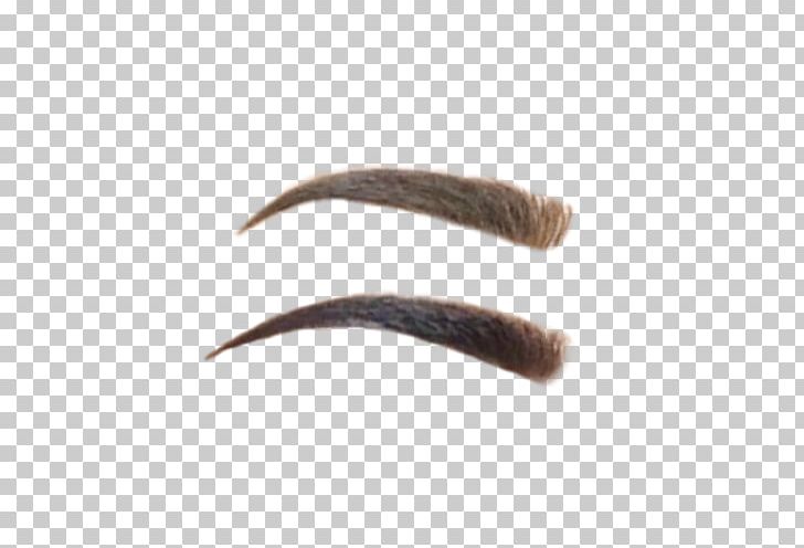 Eyebrow Eyelash PNG, Clipart, Anime, Artificial Hair Integrations, Brow, Camera, Clothing Free PNG Download