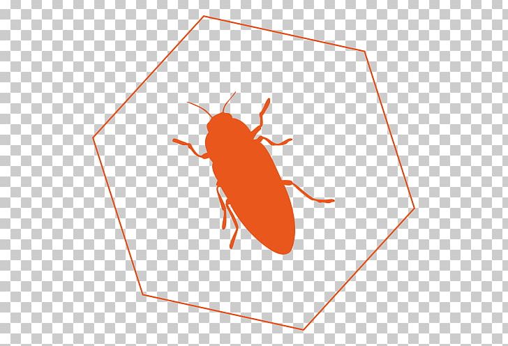 Flea Cockroach Insect Pollinator PNG, Clipart, Area, Arthropod, Cockroach, Cockroaches, Flea Free PNG Download