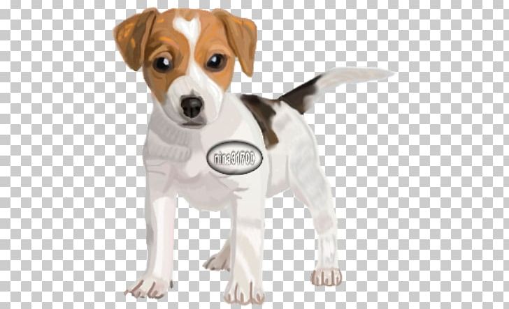 The Parson And Jack Russell Terriers Parson Russell Terrier Puppy PNG, Clipart, Animal, Carnivoran, Companion Dog, Dog, Dog Breed Free PNG Download