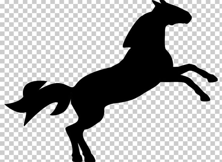 Horse Equestrian Show Jumping PNG, Clipart, Animals, Black, Carnivoran, Cartoon Horse, Collection Free PNG Download