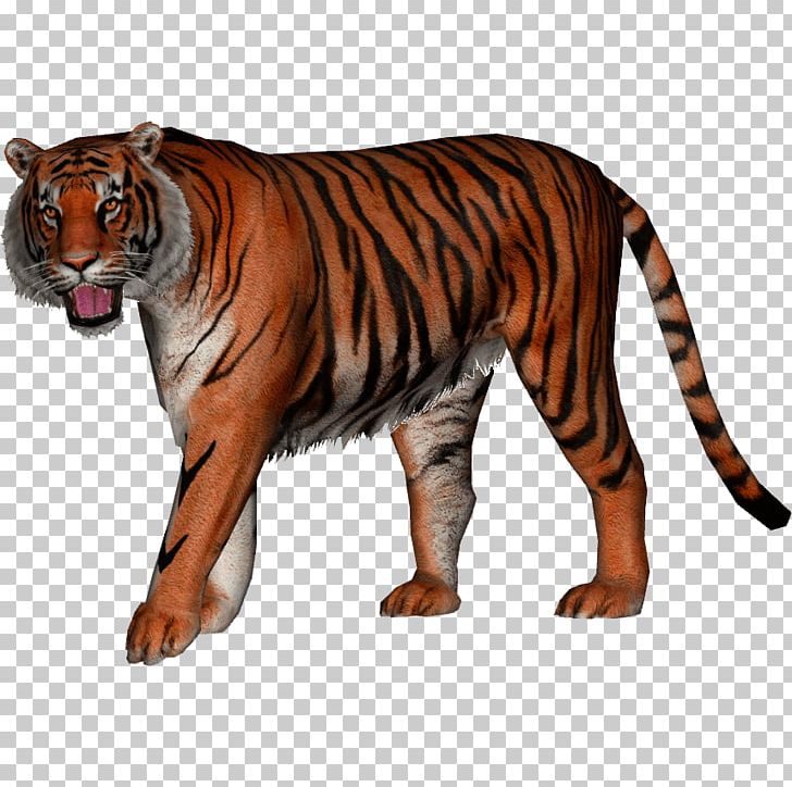 Jaguar Felidae Bengal Tiger Javan Tiger Siberian Tiger PNG, Clipart, Animal, Animal Figure, Animals, Bengal Tiger, Big Cat Free PNG Download