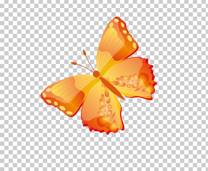 Monarch Butterfly Brush-footed Butterflies Graphics PNG, Clipart, Arthropod, Brush Footed Butterfly, Butterfly, Flower, Insect Free PNG Download