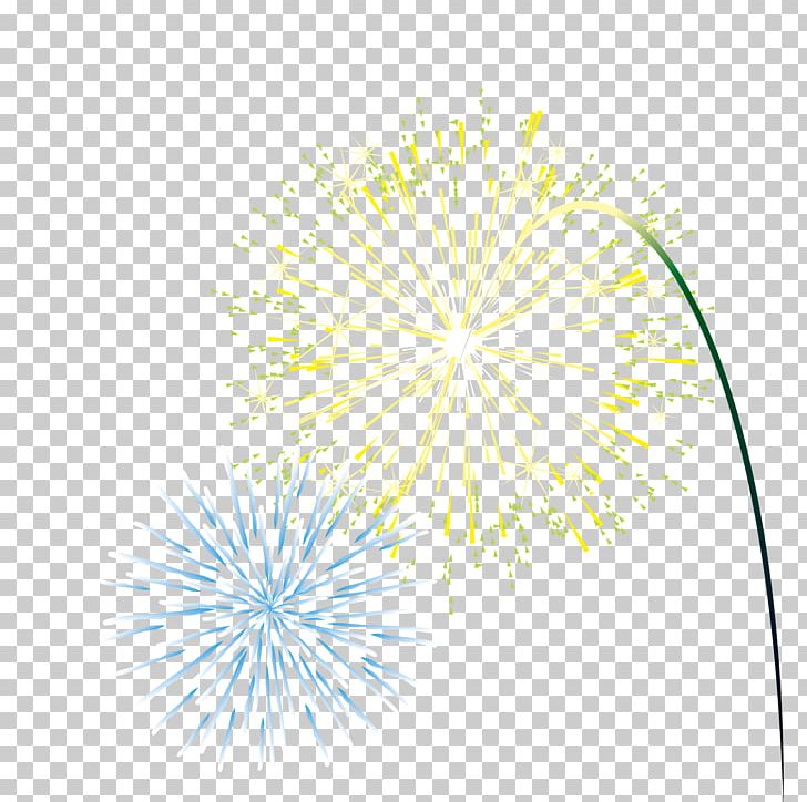 Petal Pattern PNG, Clipart, Circle, Firework, Fireworks, Fireworks Vector, Flower Free PNG Download
