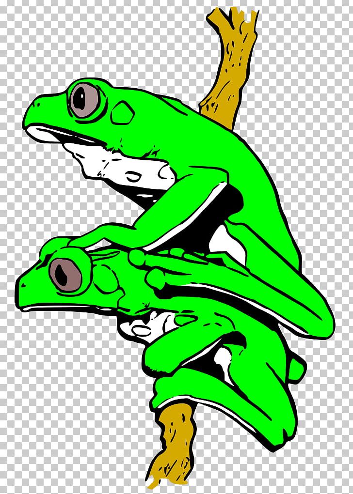 True Frog Tree Frog Drawing PNG, Clipart, Amphibian, Animal, Animal Figure, Animals, Artwork Free PNG Download