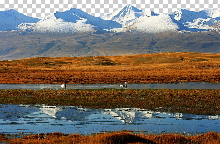 Xixi National Wetland Park Zhalong Nature Reserve Hong Kong Wetland Park Sanjiang Plain PNG, Clipart, Arctic, Autumn Leaf, China, Forest, Landscape Free PNG Download