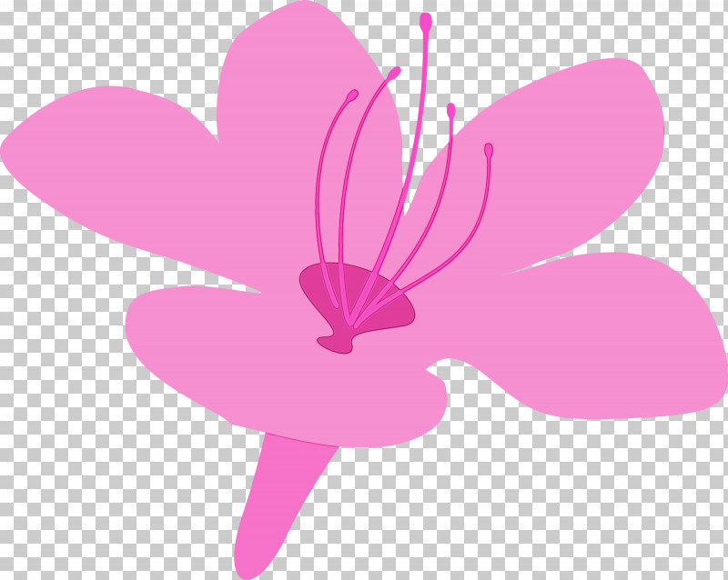 Pink Petal Flower Violet Plant PNG, Clipart, Azalea, Azalea Flower, Flower, Herbaceous Plant, Magenta Free PNG Download