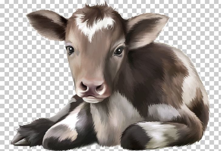 Cattle Calf Drawing Infant PNG, Clipart, Agriculture, Animals, Cartoon, Cattle Like Mammal, Cow Free PNG Download
