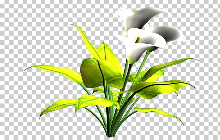 Cut Flowers Plant Stem Leaf Flowering Plant PNG, Clipart, Aquarium, Aquarium Decor, Cicek Resimleri, Cut Flowers, Flora Free PNG Download