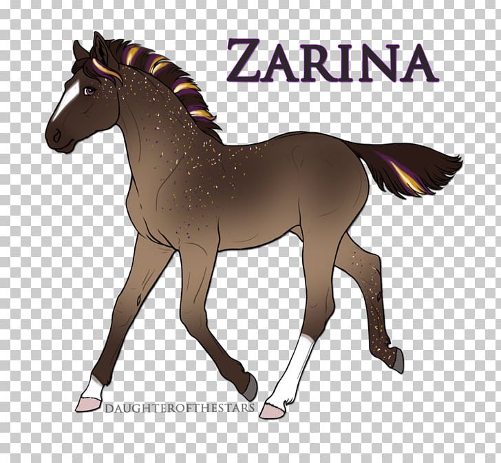 Mustang Foal Stallion Mare Pony PNG, Clipart, Bridle, Chestnut, Colt, Foal, Halter Free PNG Download