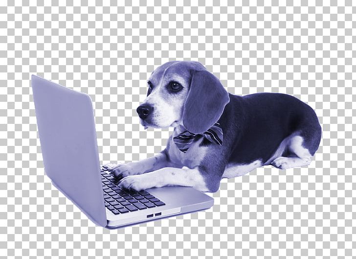 Beagle Stock Photography Puppy Laptop Shetland Sheepdog PNG, Clipart, Animals, Beagle, Companion Dog, Computer, Dog Free PNG Download