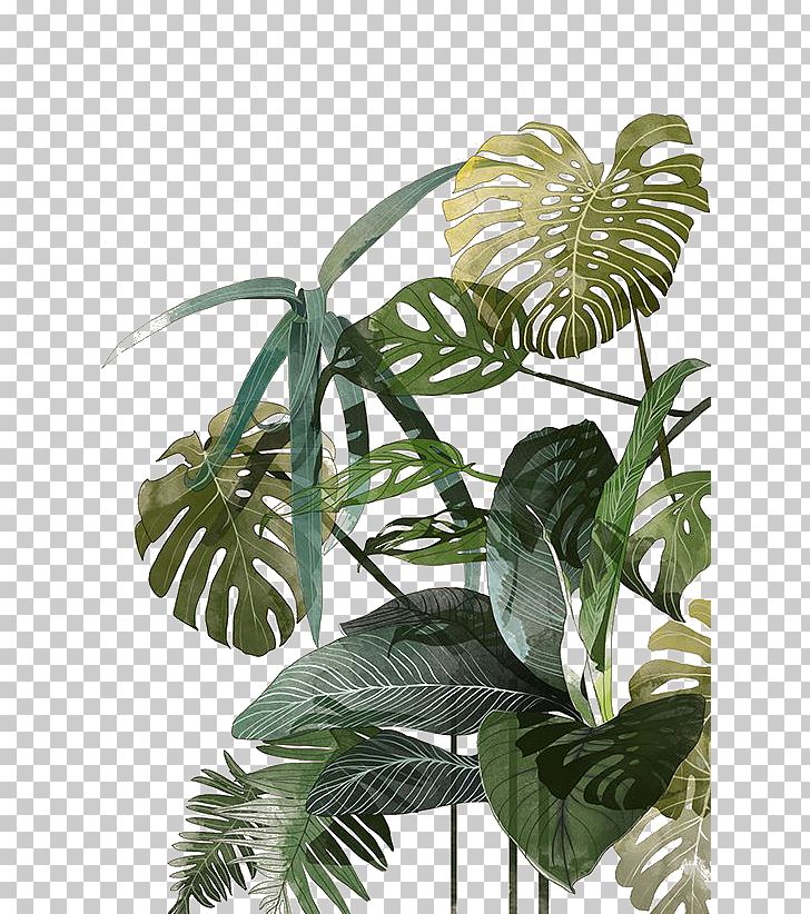 Botanical Illustration Drawing Watercolor Painting Tropics Illustration PNG, Clipart, Background, Botany, Branch, Clothing, Clothing Printed Pattern Free PNG Download