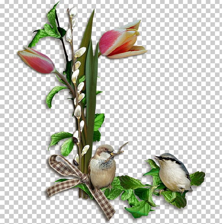 Cut Flowers PNG, Clipart, Bird, Branch, Cut Flowers, Desktop Wallpaper, Floral Design Free PNG Download