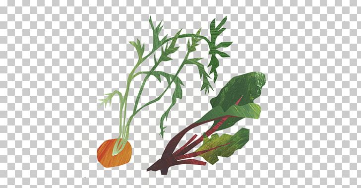 Herb Unicorn Grocery Organic Food Leaf Vegetable PNG, Clipart, Aquarium, Aquarium Decor, Flowerpot, Food, Fruit Free PNG Download