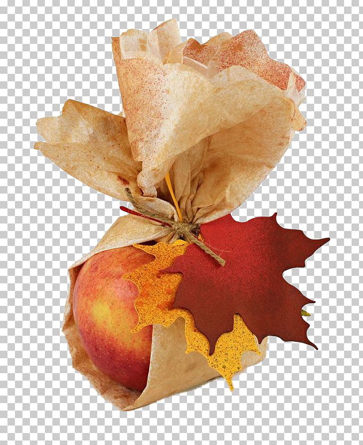 Paper Autumn Gift Leaf PNG, Clipart, Apple, Apple Fruit, Apple Logo, Apple Tree, Autumn Free PNG Download