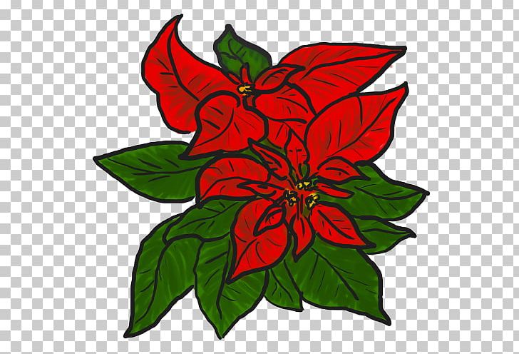 Poinsettia Free Content PNG, Clipart, Artwork, Blog, Christmas, Christmas Card, Cut Flowers Free PNG Download