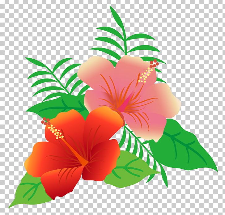 Flowers And Leaves Of Hibiscus. PNG, Clipart, Book Illustration, Chinese Hibiscus, Common Sunflower, Floral Design, Flower Free PNG Download
