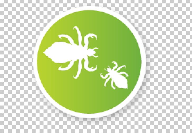 Head Louse Primate Body Lice Insect Logo PNG, Clipart, 10 Cm, Butterfly, Cannot, Child, Food Coloring Free PNG Download