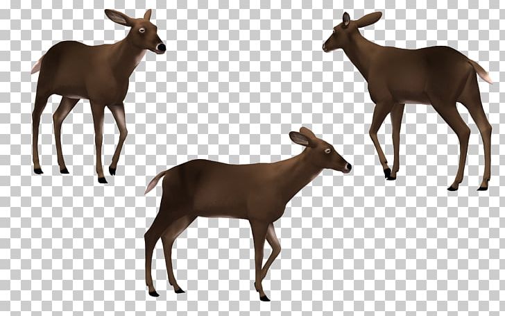 Reindeer Elk Horse PNG, Clipart, Animals, Antler, Balloon Cartoon, Boy Cartoon, Cartoon Free PNG Download