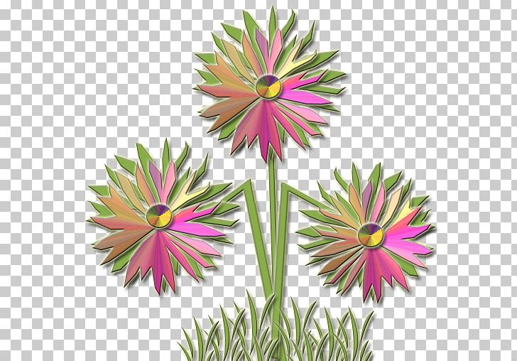 Transvaal Daisy Cut Flowers Daisy Family PNG, Clipart, Chamomile, Color, Common Daisy, Cut Flowers, Dahlia Free PNG Download