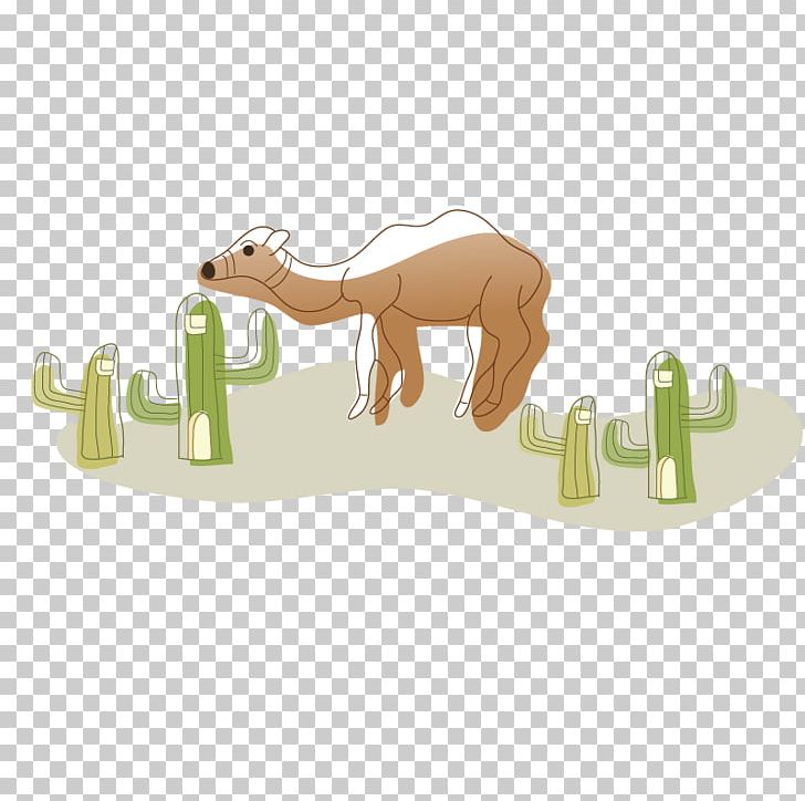 Camel Drawing Illustration PNG, Clipart, Animal, Animals, Arizona Desert, Camel, Camel Like Mammal Free PNG Download