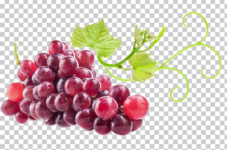 Juice Quercetin Frozen Yogurt Food Grape PNG, Clipart, Berry, Breakfast, Cranberry, Decorative, Fruit Free PNG Download