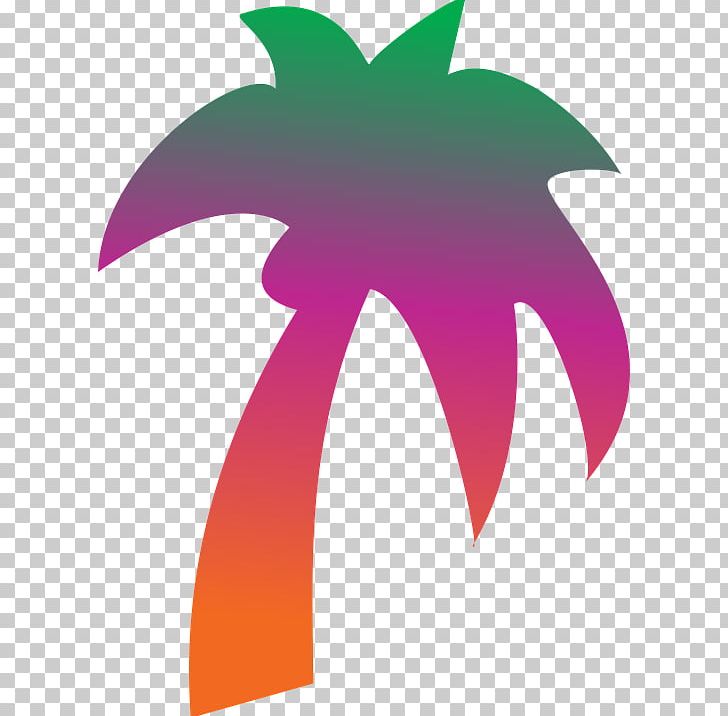 Palm Trees Coconut Geography PNG, Clipart, Coconut, Diagram, Flower, Flowering Plant, Geography Clipart Free PNG Download
