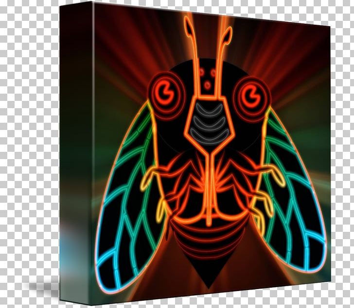 Symmetry PNG, Clipart, Butterfly, Cicada, Graphic Design, Insect, Invertebrate Free PNG Download