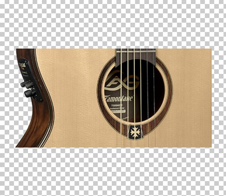 Acoustic Guitar Bass Guitar Acoustic-electric Guitar Tiple Cavaquinho PNG, Clipart, Acoustic Electric Guitar, Auditorium, Bass Guitar, Cavaquinho, Double Bass Free PNG Download