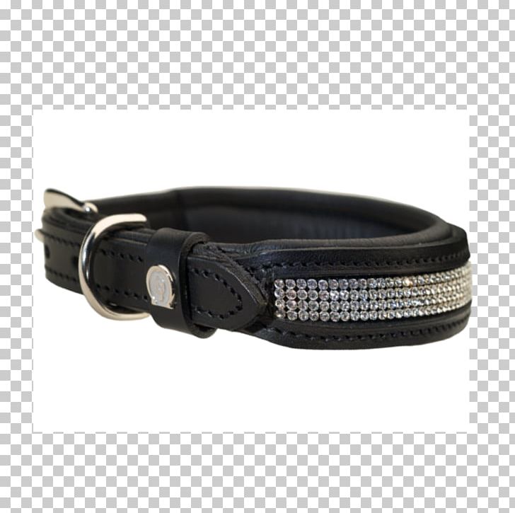 Belt Buckles Dog Collar PNG, Clipart, Belt, Belt Buckle, Belt Buckles, Buckle, Collar Free PNG Download
