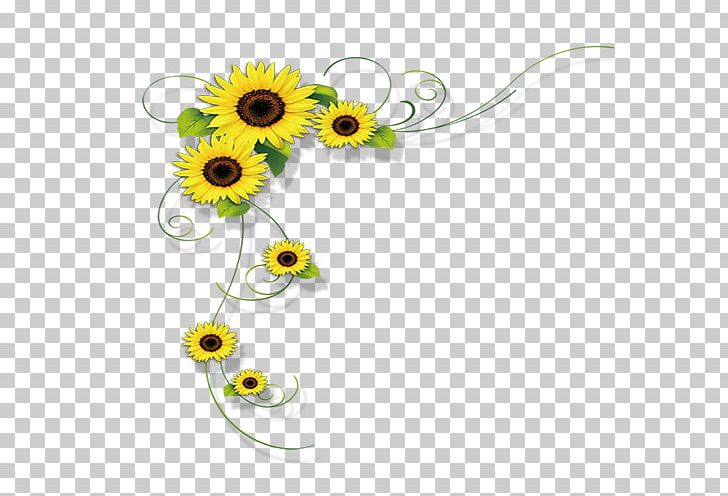 Common Sunflower Photography PNG, Clipart, Chrysanths, Circle, Daisy, Daisy Family, Flower Free PNG Download