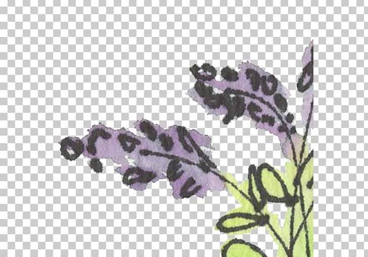 English Lavender Violet PNG, Clipart, Color, Crop, Dana, English Lavender, Field Free PNG Download