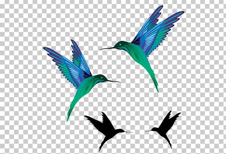 Hummingbird Tattoo Black-and-gray Idea PNG, Clipart, Beak, Bird, Birds, Black And Gray, Business Free PNG Download