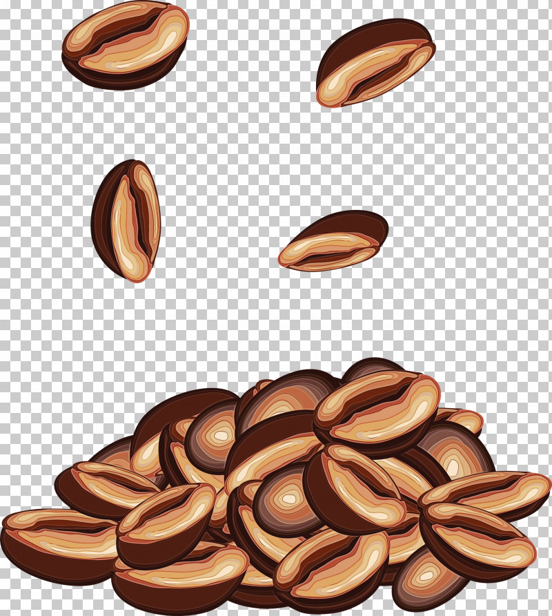 Plant Food Nuts & Seeds Seed PNG, Clipart, Coffee, Food, Nuts Seeds, Paint, Plant Free PNG Download