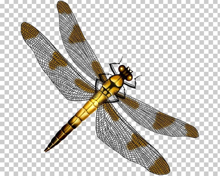 Butterfly Dragonfly PNG, Clipart, Arthropod, Data, Download, Dragonflies And Damseflies, Editing Free PNG Download