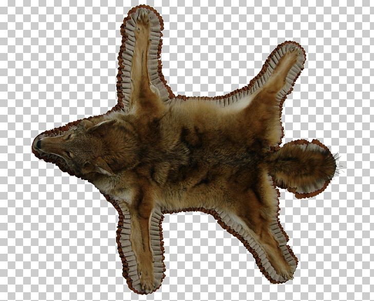 Canidae Dog Snout Fur Terrestrial Animal PNG, Clipart, Animal, Animals, Canidae, Carnivoran, Dog Free PNG Download